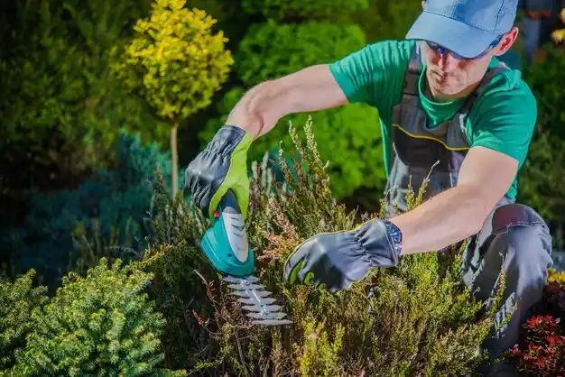 landscaping services Jasper